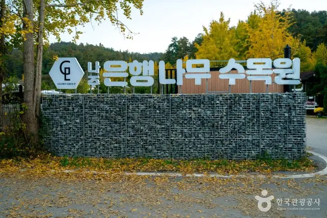 나주은행나무수목원 사진