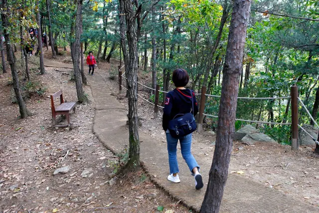 감악산 출렁다리 사진