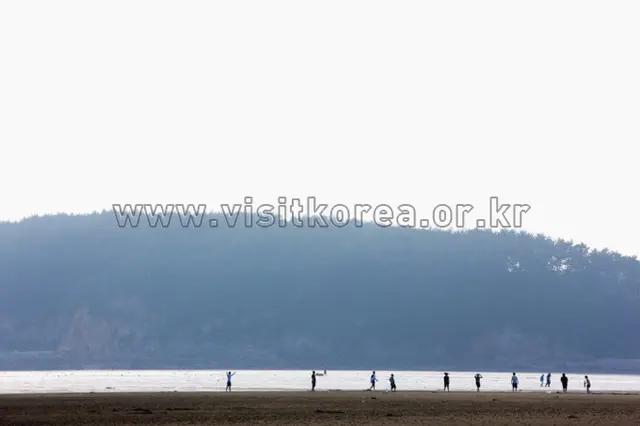 몽산포해수욕장 사진