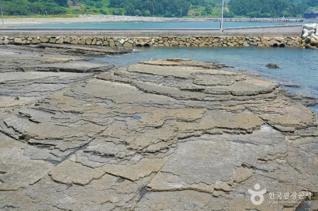 상족암군립공원 사진
