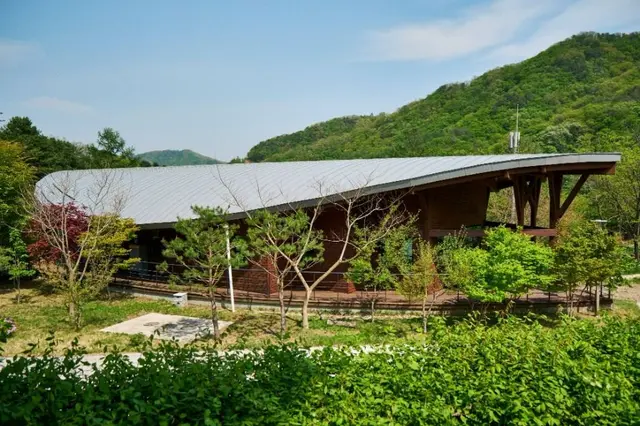 화천 산약초 마을 사진