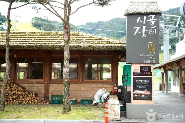 대명 비발디파크 스노위랜드 사진