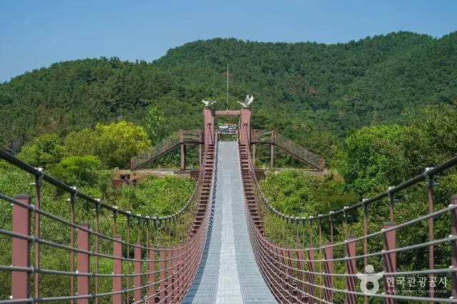 우포출렁다리 사진