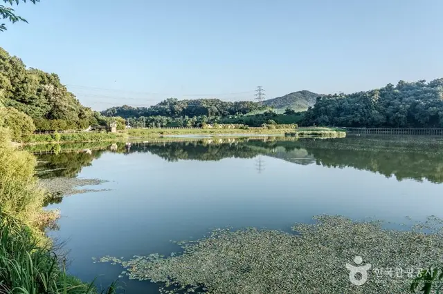 중대물빛공원 사진