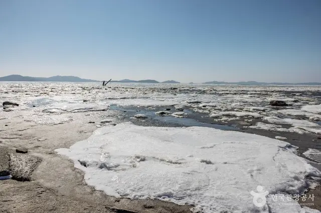 동막해변 사진