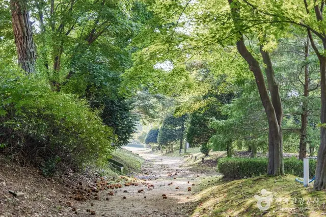 숲길정원 사진