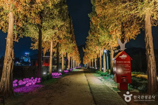 덕산 메타세쿼이아길 사진