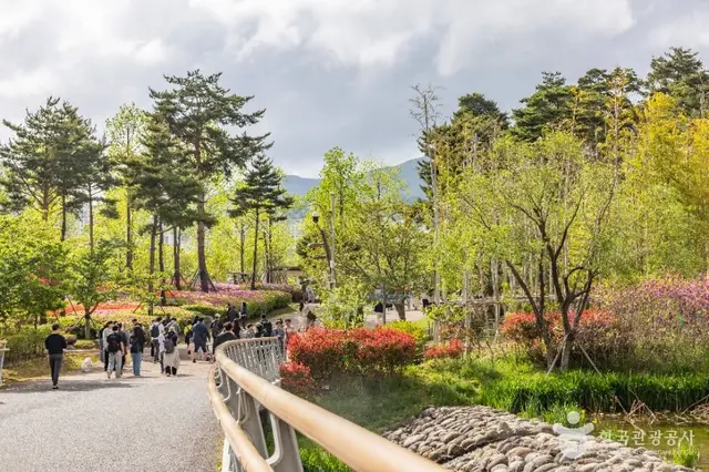 부산시민공원 사진