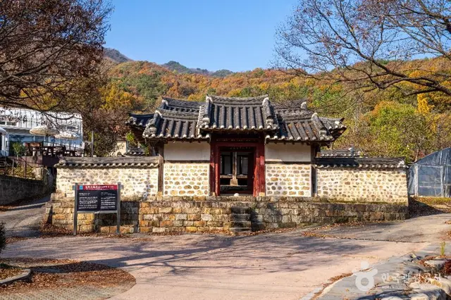 이천 산수유마을 사진