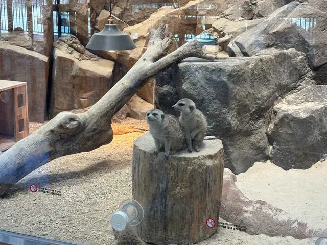 와글와글 동물원 사진