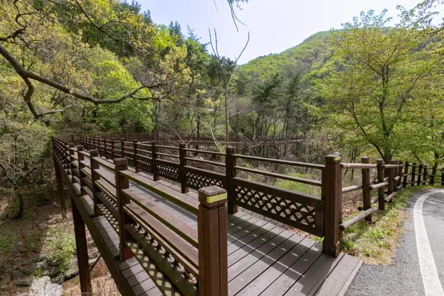 국립예산치유의숲 사진