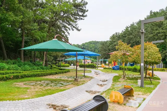 선암호수공원무지개놀이터 사진