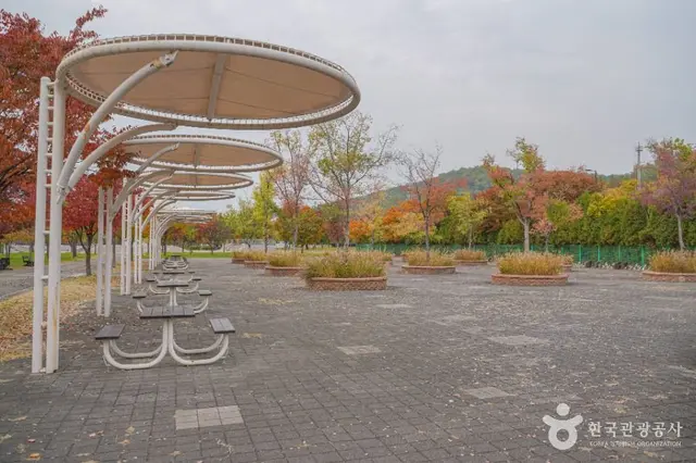 난지한강공원 사진