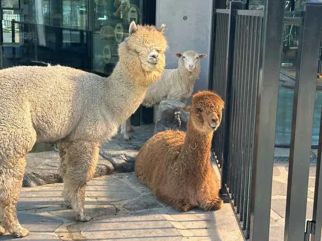 와글와글 동물원 사진