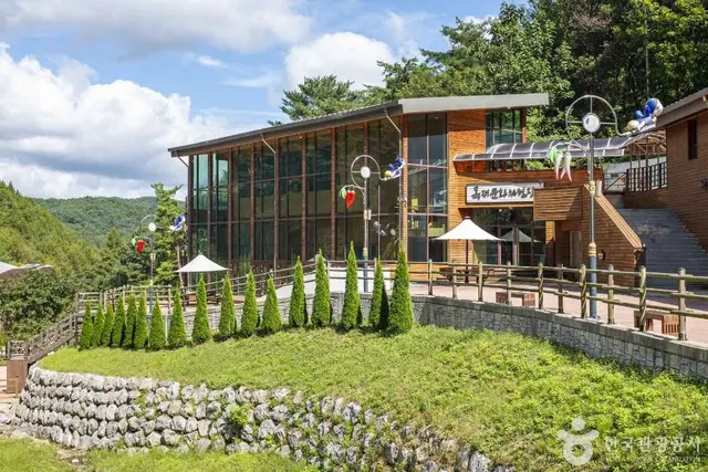 흥림산자연휴양림 (영양에코둥지) 사진
