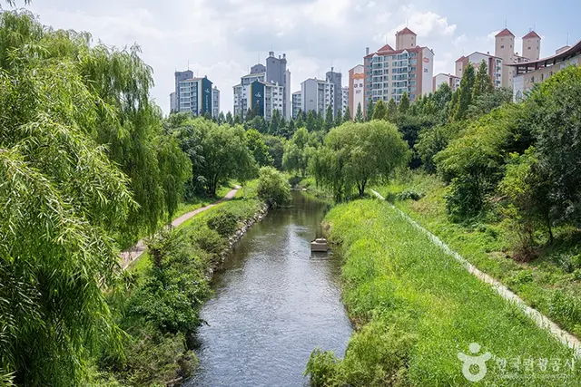 신동수변공원 사진