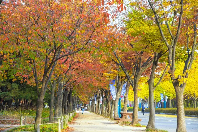 인천대공원 사진