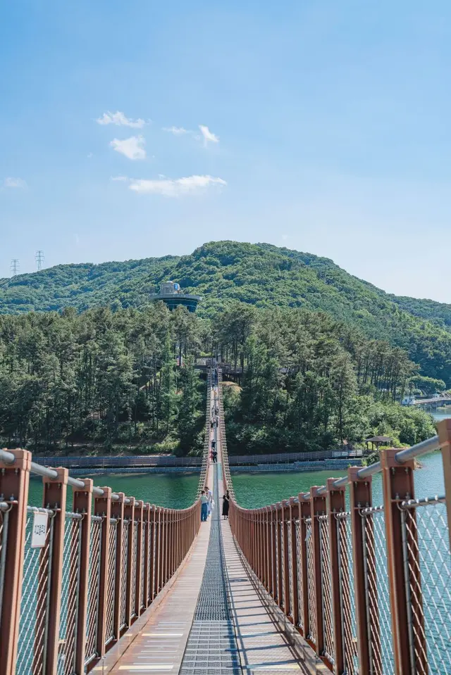 마장호수 출렁다리 사진