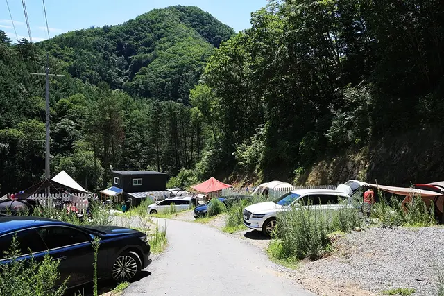 숲이야기 캠핑장 사진