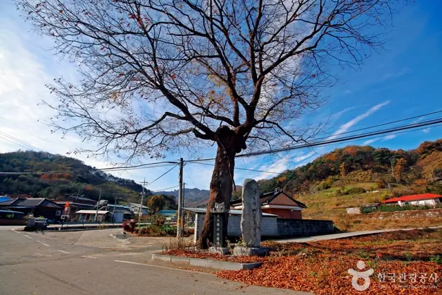 충주 상대촌농촌체험마을 사진