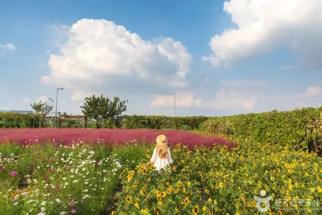바람새마을 사진