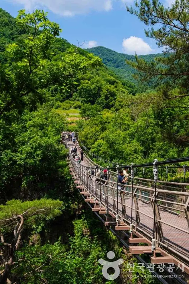 재인폭포 출렁다리 사진