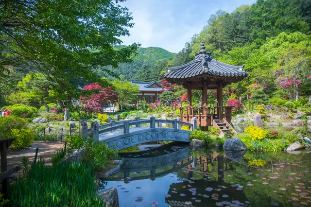 아침고요수목원 사진