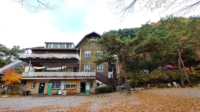 유명산258 사진