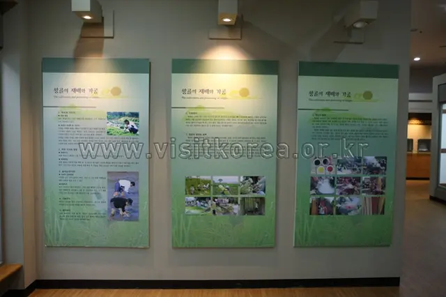 강화화문석문화관 사진