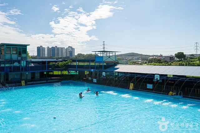 황금수영장 사진