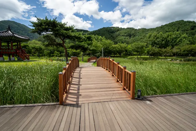 양산워터파크 공원 사진