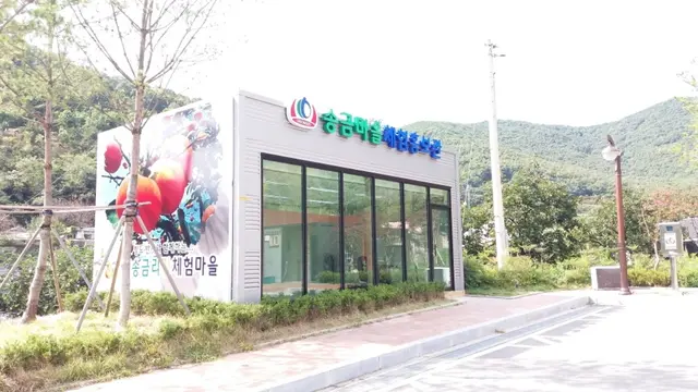 송금체험마을영농조합법인 사진