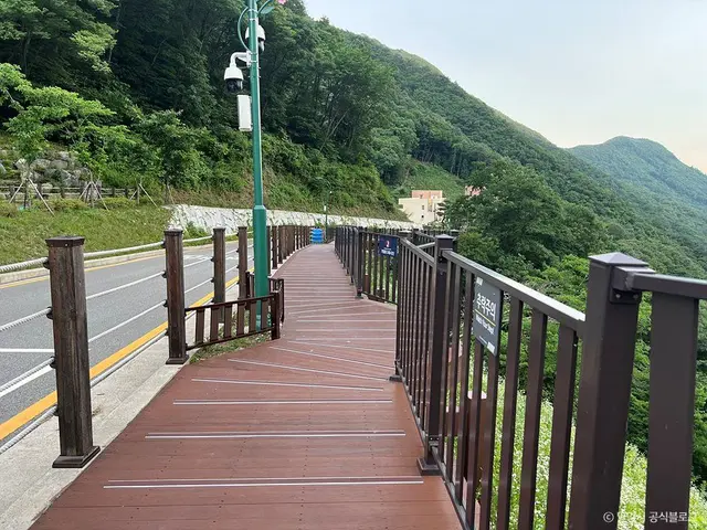 밀양 도래재 자연휴양림 사진