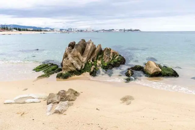 영진해변 사진