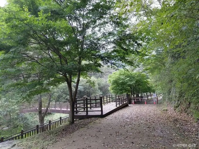 방화동자연휴양림·가족휴가촌 사진