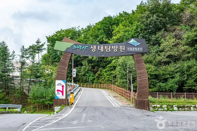 소백산 생태탐방원 사진
