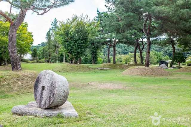 영주 장수조이월드 사진
