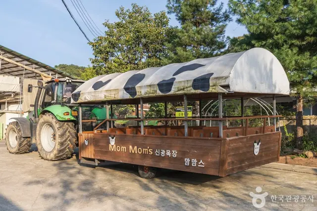 맘맘스 사진