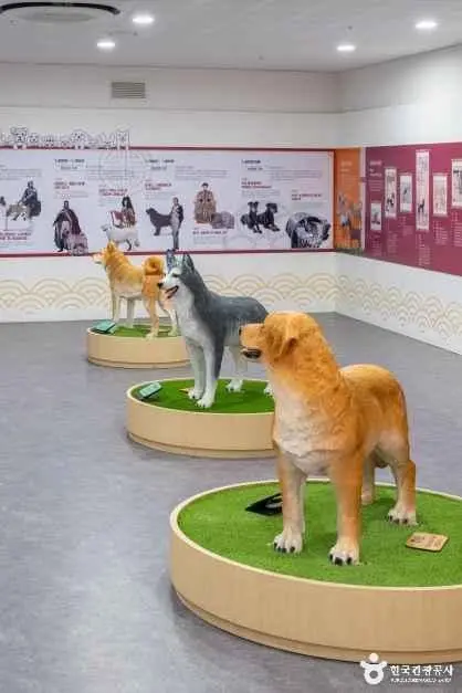 반려마루 사진