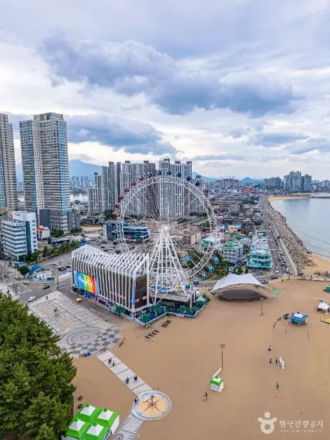 속초아이대관람차 사진
