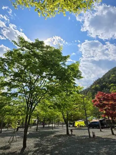 두산분교캠핑장 사진