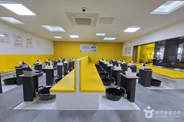 제주라프 사진
