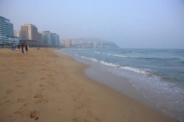 해운대해수욕장 사진