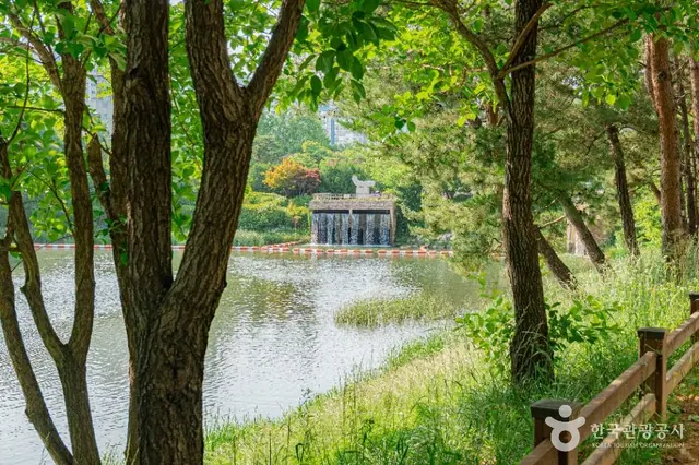 장자호수공원 사진