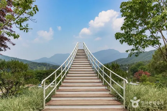물맑음수목원 사진