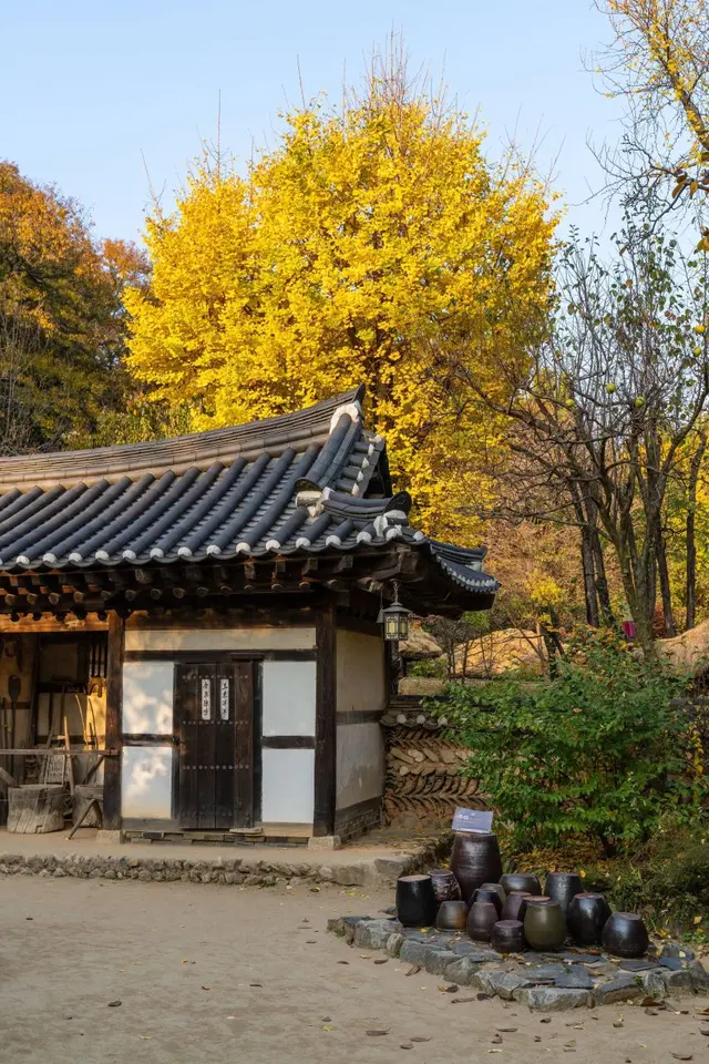 한국민속촌 사진
