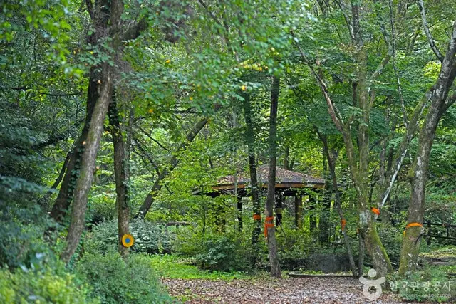 망경대산자연휴양림 사진