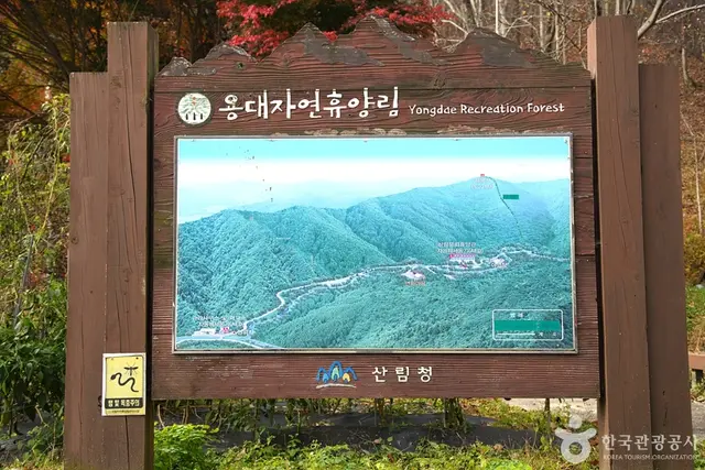 국립 용대자연휴양림 사진
