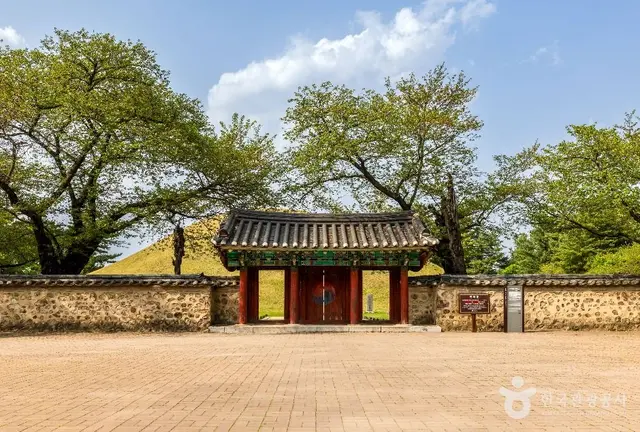 경주 대릉원 사진