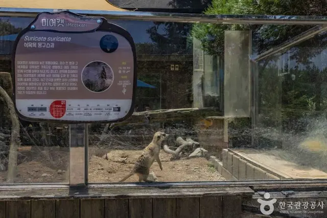 청주동물원 사진